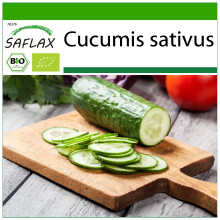 SAFLAX - BIO - Cetriolo - Marketmore - 20 semi - Con substrato - Cucumis