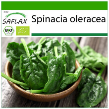 SAFLAX - BIO - Spinaci - Matador - 300 semi - Con substrato - Spinacia