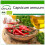 SAFLAX  - Chili – Cayenne - Capsicum - 10 Samen - Mit Substrat 1