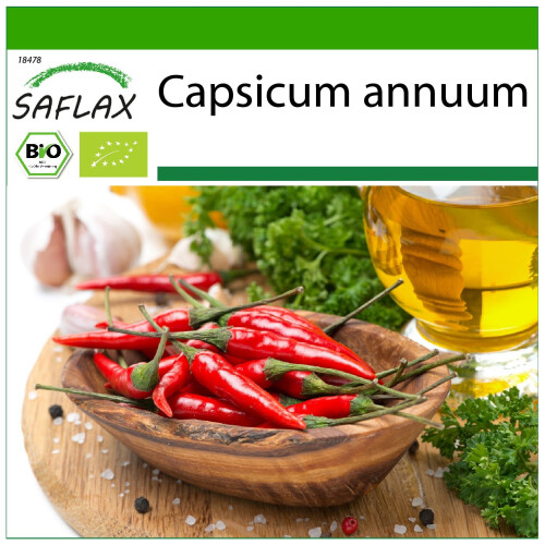 SAFLAX  - Chili – Cayenne - Capsicum - 10 Samen - Mit Substrat
