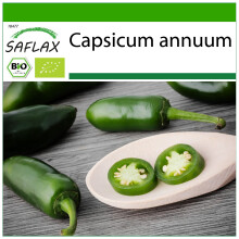 SAFLAX - BIO - Peperoncino - Early Jalapeno - 20 semi - Con substrato - Capsicum