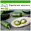 SAFLAX  - Chili – Jalapeno - Capsicum - 20 Samen - Mit Substrat 1
