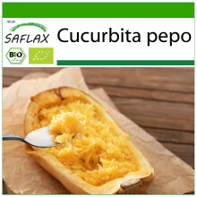 SAFLAX - BIO - Zucca - Spaghetti - 5 semi - Con substrato - Cucurbita