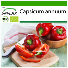 SAFLAX - BIO - Peperone - California Wonder - Red - 20 semi - Con substrato - Capsicum