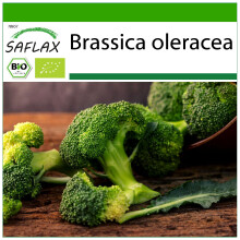 SAFLAX - BIO - Broccolo - Calabrese - 100 semi - Con substrato - Brassica