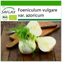 SAFLAX - BIO - Finocchio - 100 semi - Con substrato - Foeniculum