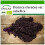 SAFLAX  - Grünkohl – Roter - Brassica - 50 Samen - Mit Substrat 1