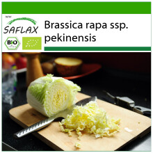 SAFLAX - BIO - Cavolo cinese - Granat - 40 semi - Con substrato - Brassica