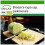 SAFLAX  - Chinakohl - Granat - Brassica - 40 Samen - Mit Substrat 1