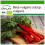 SAFLAX  - BIO - Rhubarbe - 50 graines - Avec substrat - Beta 1