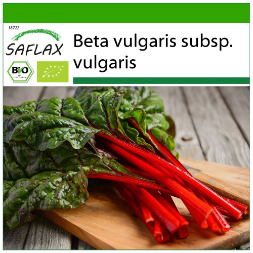 SAFLAX  - BIO - Rhubarbe - 50 graines - Avec substrat - Beta