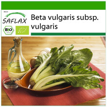 SAFLAX - BIO - Bietola - 150 semi - Con substrato - Beta