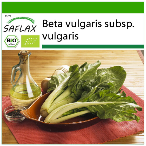 SAFLAX  - Schweizer Mangold - Beta - 150 Samen - Mit Substrat