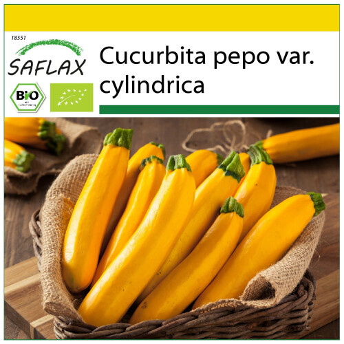 SAFLAX Anzucht Set - Ziucchini - Gold Rush - Cucurbita - 5 Samen