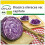 SAFLAX Anzucht Set - Rotkohl – Drumhead - Brassica - 250 Samen 1