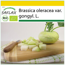 SAFLAX Anzucht Set - Kohlrabi - Superschmelz - Brassica - 20 Samen