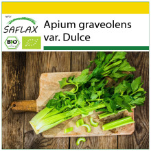 SAFLAX Anzucht Set - Sellerie - Apium - 500 Samen