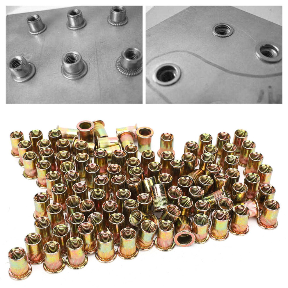 Versatile 100Pcs M10 Zinc-Plated Carbon Steel Nutserts For Metal Plates 5031333730581