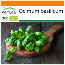 SAFLAX - Garden in the Bag - Organic - Basil Genovese - 800 seeds - With substrate in a fitting stand up bag - Ocimum basilicum