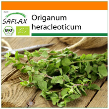 SAFLAX Garden in the bag - BIO - Origano - 1500 semi - Origanum