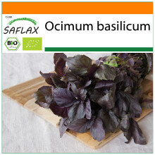 SAFLAX Garden in the bag - Rotes Basilikum - Ocimum - 400 Samen