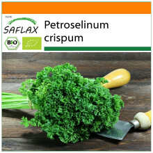 SAFLAX Garden in the bag - BIO - Prezzemolo crespo - 800 semi - Petroselinum