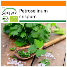 SAFLAX Garden in the bag - BIO - Prezzemolo liscio - 600 semi - Petroselinum
