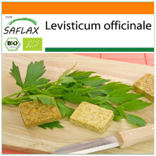 SAFLAX Garden in the bag - BIO - Levistico o sedano di monte - 100 semi - Levisticum