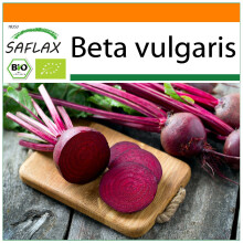 SAFLAX Garden in the bag - BIO - Barbabietola - Detroit Globe - 100 semi - Beta