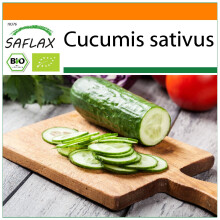 SAFLAX Garden in the bag - BIO - Cetriolo - Marketmore - 20 semi - Cucumis