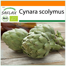 SAFLAX Garden in the bag - BIO - Carciofo - Imperial Star - 5 semi - Cynara