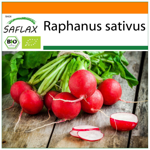 SAFLAX Garden in the bag - Radieschen - Cherry Bell - Raphanus - 100 Samen