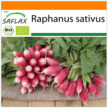 SAFLAX Garden in the bag - BIO - Ravanello - French Breakfast - 150 semi - Raphanus