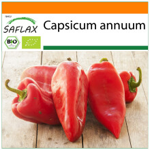 SAFLAX Garden in the bag - BIO - Peperone - Long Red Marconi - 20 semi - Capsicum