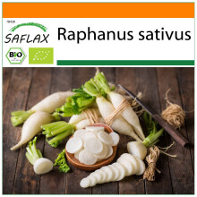 SAFLAX Garden in the bag - BIO - Ravanello - Candela di ghiaccio - 100 semi - Raphanus