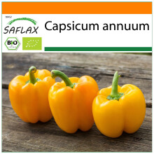 SAFLAX Garden in the bag - BIO - Peperone - Golden California Wonder - 20 semi - Capsicum
