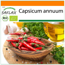 SAFLAX Garden in the bag - BIO - Peperoncino - De Cayenne Long Slim - 10 semi - Capsicum