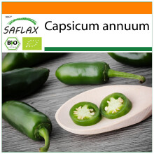 SAFLAX Garden in the bag - BIO - Peperoncino - Early Jalapeno - 20 semi - Capsicum