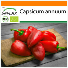 SAFLAX Garden in the bag - BIO - Peperoncino - Barak - 15 semi - Capsicum