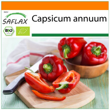 SAFLAX Garden in the bag - BIO - Peperone - California Wonder - Red - 20 semi - Capsicum