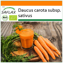 SAFLAX Garden in the bag - BIO - Carota - Early Nantes - 1500 semi - Daucus