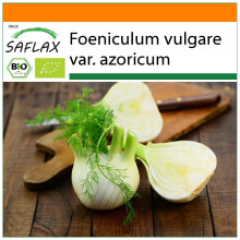 SAFLAX - Garden in the Bag - Organic - Florence Fennel - 100 seeds - With substrate in a fitting stand up bag - Foeniculum vulgare var. azoricum