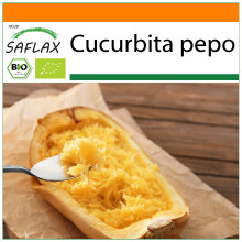 SAFLAX Garden in the bag - BIO - Zucca - Spaghetti - 5 semi - Cucurbita