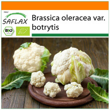 SAFLAX Garden in the bag - BIO - Cavolfiore - Palla di neve - 70 semi - Brassica