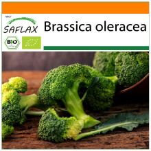 SAFLAX Garden in the bag - BIO - Broccolo - Calabrese - 100 semi - Brassica