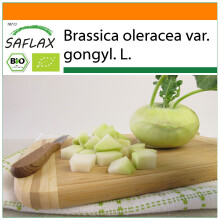 SAFLAX Garden in the bag - BIO - Cavolo rapa - Superschmelz - 20 semi - Brassica