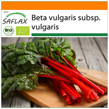 SAFLAX Garden in the bag - BIO - Bietola - Rabarbaro - 50 semi - Beta