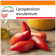 SAFLAX Garden in the bag - Pomodoro Cornuto delle Ande - 10 semi - Lycopersicon