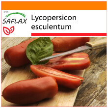 SAFLAX Garden in the bag - Pomodoro San Marzano - 10 semi - Lycopersicon