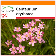 SAFLAX Garden in the Bag - Tausendgüldenkraut - Centaurium - 250 Samen